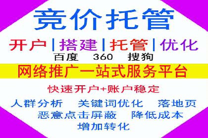 竞价SEM托管服务：成功案例揭秘